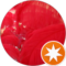 Lan C Avatar